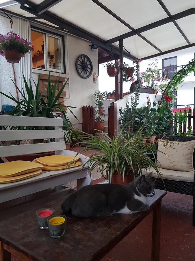 Apartament Estia Vasilis Manoli *
